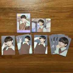 BTS SOWOOZOO ソウジュ ミニフォト V テヒョン セット