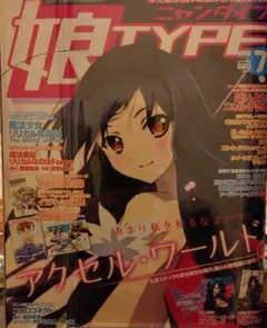 【匿名配送】娘TYPE 2012年7月号 魔法少女リリカルなのは付録付き