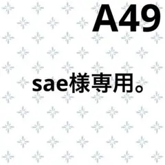 ゆゆ様専用。白A14 即納 26SS FRAMeWORK フレンチリネンド - メルカリ