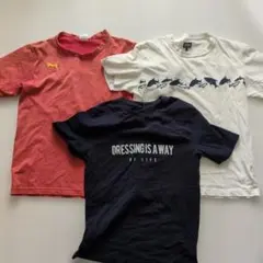 Tシャツ　M サイズ　3点セット