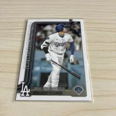 Item thumbnail for item 5bba638c-f33f-4eaa-8352-e1559ad36a8c