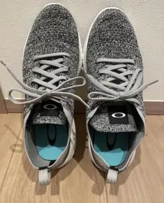 Item thumbnail for item 36b9b41b-d3bc-405f-b315-9b3c2ac0aba5