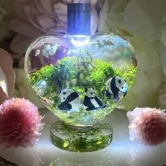 Item thumbnail for item 4d373a26-f0f6-4288-a6cf-4b8f7099f3e2