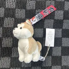 ハチふる SHIBUYA HANAFUDA ハチ公 キーホルダー　AKITAのサムネイル