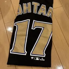 大谷翔平選手　World series Champions 2024 Tシャツ