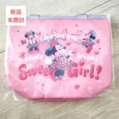 新品★ミニーのファンダーランド パルパルーザ スーベニア ランチケース