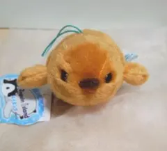 ペンギンアイランド　スイミング　キングペンギン