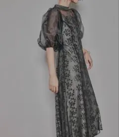 ニアナ オーガンジー シアーレース ワンピース ドレス バックリボン