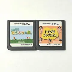 トモダチコレクションDS & おいでよどうぶつの森 DS