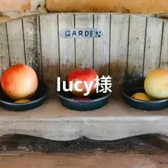 コメントご確認下さい lucy様 リクエスト 3点 まとめ商品