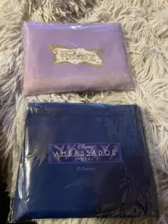 ディズニー エコバッグ2点とアスタリフトサンプルセット（おまけ）