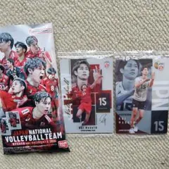 甲斐優斗 バレーボール日本代表 ツインウエハース カード レア ノーマル