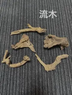 水槽用流木 5個セット 自然な形状