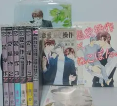 恋愛操作 1 2 3 4 初回限定版 蓮川愛 BLコミック 4冊セット - メルカリ