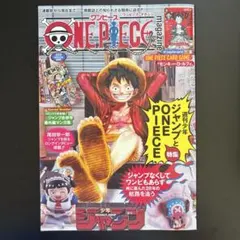 ワンピースマガジン　20号　本のみ　1冊　カードなし　未読
