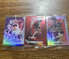 バレーボール トレーディングカードセット