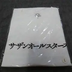 サザンオールスターズ　45周年　Tシャツ　タオル　レジャーバック　3点セット サザンオールスターズ TシャツLとタオル セット 45周年記念