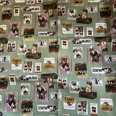 Item thumbnail for item 72e9d447-5d8a-4f76-aa89-bc6c7d1eacc3