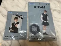 新品★&team HARUA ハルア　缶バッジ＆クリアスタンド 2種セット　セガ