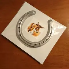 【本物の蹄鉄】馬蹄