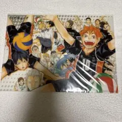ハイキュー　クリアファイル　原画
