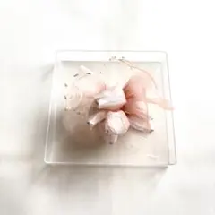 美品 フラワーコサージュ ピンク 透明ケース付き