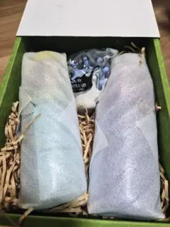 STARBUCKSサニーボトルセット