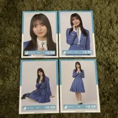 2026年最新】小坂菜緒 生写真 コンプの人気アイテム - メルカリ