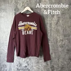 ⭐︎125 アバクロンビー&フィッチ ヴィンテージ マッスル ロンT 長袖 T