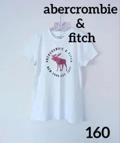 良品【abercrombie & fitch】半袖Tシャツ　160　15/16y