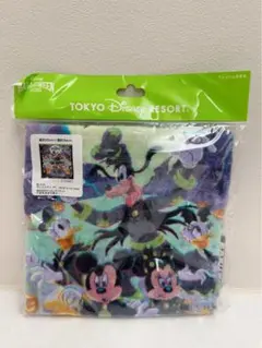新品未開封 ディズニー ハロウィン 2025 ウォッシュタオル ミッキー ミニー