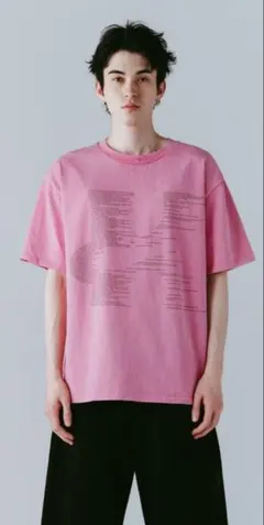 佐藤健さんブランドABYTSのフォトプリントTシャツ ピンク - メルカリ