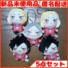 ハイキュー!! ちょぴぬいぷち2 全3種セット まとめ売り 5点
