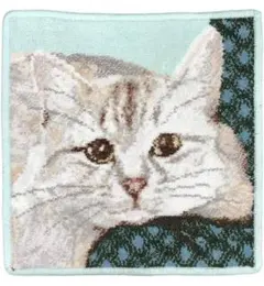 【フェイラー】ハンカチ