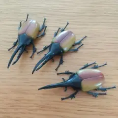カブトムシフィギュア３点セット