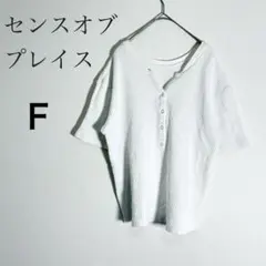 SENSE OF PLACE ワッフル ヘンリーネック 半袖 Tシャツ Fのサムネイル