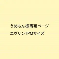 うめもん様専用ページエヴリンtpmサイズバッグインバッグ