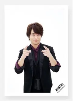 ミニあらし(ミニフォト) 櫻井翔㉔LIVE TOUR 2015 Japonism