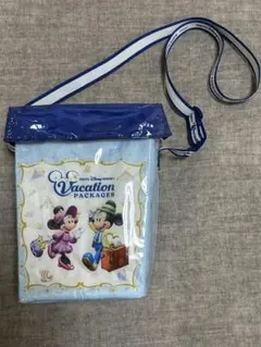 東京ディズニーリゾート バケーションパッケージ ポップコーンケース