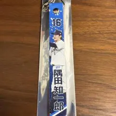 【新品未使用】隅田知一郎 シークレットボンフィン クライマックスシリーズ