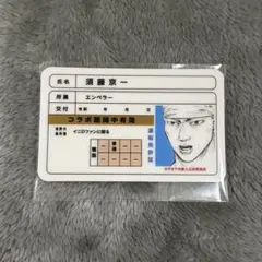 頭文字D カラオケの鉄人 佐藤真子 免許証 - メルカリ