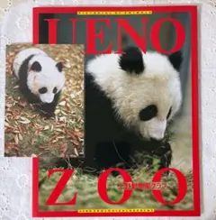 2025年最新】上野動物園グラフの人気アイテム - メルカリ