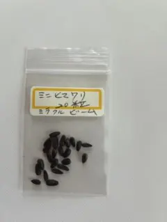 種子5粒 赤い鳥オブツーサ錦 1セットのみ ハオルチア 多肉植物 - メルカリ
