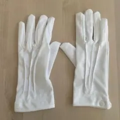 Item thumbnail for item 28fb39c5-81b3-455e-9903-79496c45b428