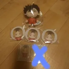 音駒セット　BDE賞 ぬいぐるみ 缶バッジ ハイキュー セガラッキーくじ
