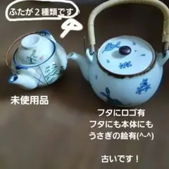 【未使用品】手付き土瓶　ふたが2種類です♪手描き植物模様の陶器急須+ウサギ急須