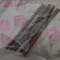 Item thumbnail for item 5b13d73a-8e10-4f94-b899-529ad82858b1