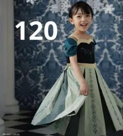 アナと雪の女王 120cm ドレス