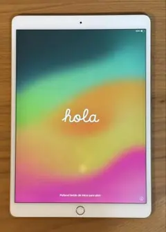 Apple iPad Pro 10.5インチ