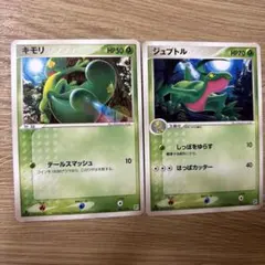 シリーズ:PCG;listno_Pokemon:20850;カード名:キモリ;… シリーズ:PCG;listno_Pokemon:20850;カード名:キモリ;… - メルカリ